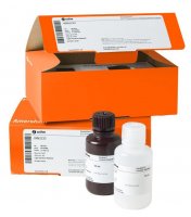 ECL� Prime Western Blotting Detection Reagent GERPN2236