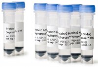 Protein G Mag Sepharose� Xtra GE28-9670-66