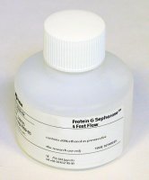 Protein G Sepharose� 4 Fast Flow GE17-0618-01