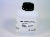 Q Sepharose� Xl GE17-5072-01
