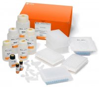 RNAspin 96 (4) GE25-0500-75
