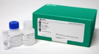 TempliPhi� - 2000 Reaction Kit GE28-9642-86