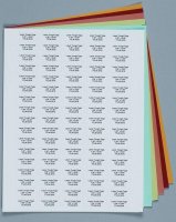 Laser Tough-Tags� Z688363-1PAK