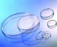 Greiner CELLSTAR� dish 