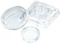 Nunc® IVF multidish