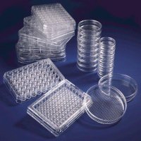 Nunc� UpCell� Surface cell culture multidish 