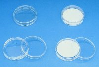 Petri-Pad culture dish system C6570-100EA