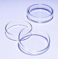 Pyrex� Petri dish SLW1480/06D-10EA