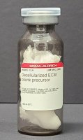 Decellularized ECM bioink precursor