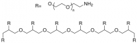 8arm-PEG10K-NH2, hexaglycerol core JKA8008-1G