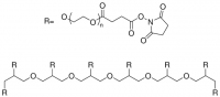 8arm-PEG10K-Succinimidyl Succinate JKA8019-1G