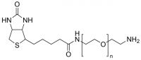 Poly(ethylene glycol) 2-aminoethyl ether biotin 757764-100MG
