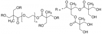 Poly(ethylene glycol), 16 hydroxyl dendron, generation 3 752363-500MG