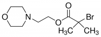 2-(4-Morpholino)ethyl 2-bromoisobutyrate 777927-1G
