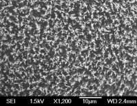 Carbon nanotube array, multi-walled 687804-1EA