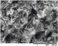 Graphene nanoplatelets 806668-25G