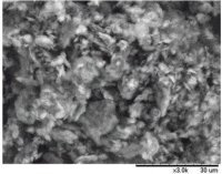 Graphene nanoplatelets 806633-25G