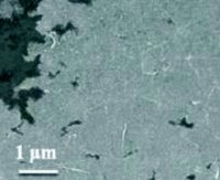 Graphene/PEDOT:PSS hybrid ink 900442-50ML