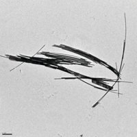 Gold nanowires 716944-10ML