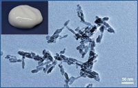 Hydroxyapatite 900194-25G