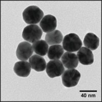 Silver nanospheres 807575-1ML