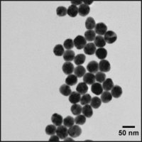 Silver nanospheres 807583-1ML