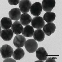 Silver nanospheres 796425-25ML