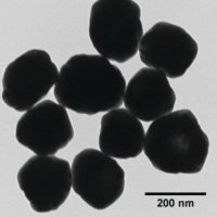 Silver nanospheres 796468-25ML