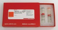 pCMV-FLAG®-MAT-Tag®-1 Expression Vector C5864-20UG
