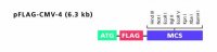 pFLAG-CMV™-4 Expression Vector