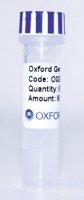 PSF-CMV-P15A ORI - P15A ORIGIN (~10 COPIES LOW) PLASMID OGS11-5UG