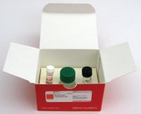 NeuroPorter™ Transfection Kit