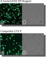X-tremeGENE™ HP DNA Transfection Reagent