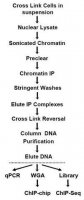 Imprint® Ultra Chromatin Immunoprecipitation Kit