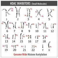 Sigma CRISPR dCas9-p300 Activator Expression Plasmid DCAS9P300-1EA