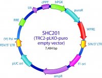 MISSION� TRC2 pLKO.5-puro Empty Vector Control Transduction Particles puro SHC201V