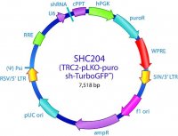 MISSION� TRC2 pLKO.5-puro TurboGFP� shRNA Control Transduction Particles SHC204V