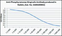 Anti-Porphyromonas gingivalis antibody produced in rabbit 