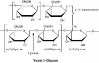 Lyticase from Arthrobacter luteus SAE0098-20KU