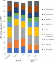 Microbial community DNA mix MBD0026-0.3UG