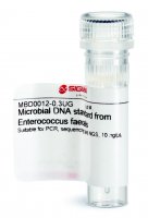 Microbial DNA standard from Enterococcus faecalis MBD0012-0.3UG