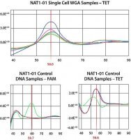 GenomePlex� Single Cell Whole Genome Amplification Kit 
