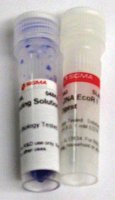 Lambda DNA EcoR I Hind III Digest 