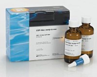 CDP-Star®