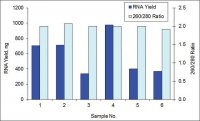 GenElute� Single Cell RNA Purification Kit RNB300-50RXN
