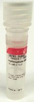 7-Deaza-2-deoxyguanosine 5-triphosphate lithium salt D8783-.5UMO