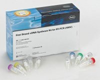 First Strand cDNA Synthesis Kit for RT-PCR (AMV) 11483188001