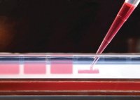 JumpStart� REDAccuTaq� LA DNA Polymerase 