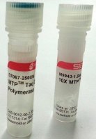 MTP� Taq DNA Polymerase 