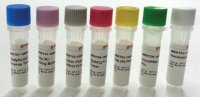 MystiCq� microRNA cDNA Synthesis Mix 